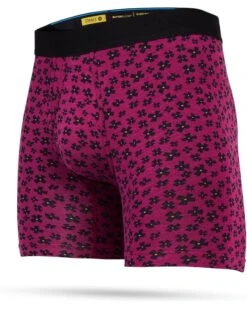 Stance Pixelower Wholester | Underwear